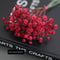 Autumn Red